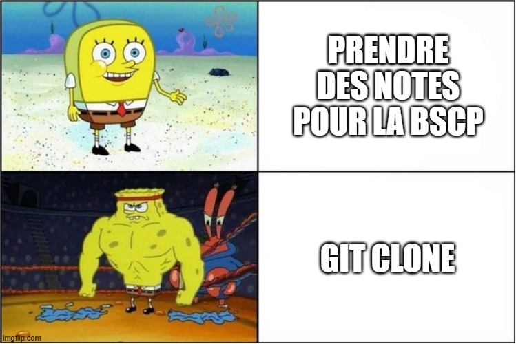 SpongeBob Caveman - git clone botesjuan && nano XSS.md > Notion 23 fiches